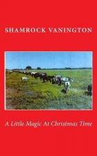 Little Magic At Christmas Time