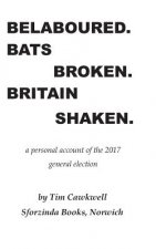 Belaboured. Bats Broken. Britain Shaken.: a personal account of the 2017 general election