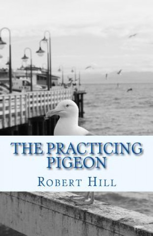 The Practicing Pigeon: tpp