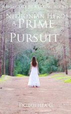 A Prime Pursuit
