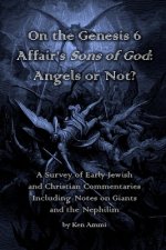 On the Genesis 6 Affair's Sons of God