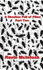 A Shoebox Full Of Flies: Part Two