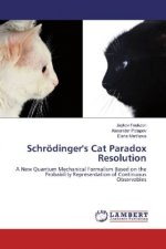 Schrödinger's Cat Paradox Resolution