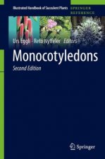Monocotyledons
