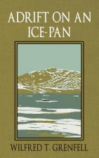 Adrift on an Ice-Pan