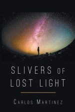 Sliver of Lost Light