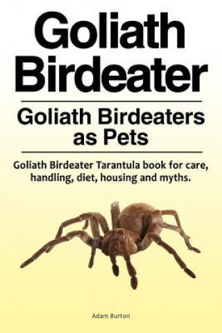 Goliath Birdeater . Goliath Birdeaters as Pets. Goliath Birdeater Tarantula book for care, handling, diet, housing and myths.