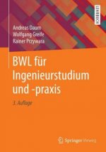 BWL fur Ingenieurstudium und -praxis