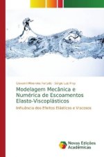 Modelagem Mecanica e Numerica de Escoamentos Elasto-Viscoplasticos