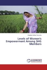 Levels of Women's Empowerment Among SHG Members