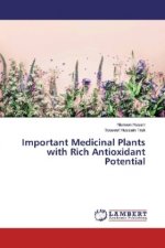 Important Medicinal Plants with Rich Antioxidant Potential