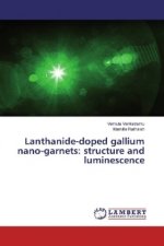 Lanthanide-doped gallium nano-garnets: structure and luminescence