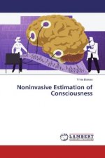 Noninvasive Estimation of Consciousness
