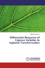Differential Response of Cajanus Varieties to Inplanta Transformation