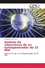 Analisis de vibraciones de un turbogenerador de 15 MW
