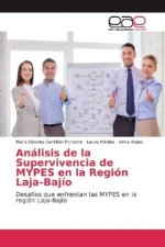 Analisis de la Supervivencia de MYPES en la Region Laja-Bajio