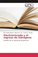 Electrocincado y el ingreso de hidrogeno