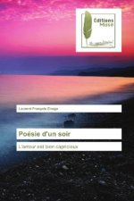 Poésie d'un soir