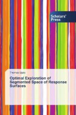 Optimal Exploration of Segmented Space of Response Surfaces