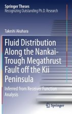 Fluid Distribution Along the Nankai-Trough Megathrust Fault off the Kii Peninsula