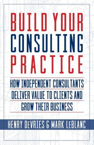 Build Your Consulting Practice: How Independent Consultants Deliver Value to Clients and Grow Their Business