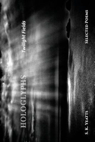Hologlyphs: Twilight Fields