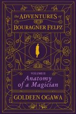 The Adventures of Bouragner Felpz, Volume II: Anatomy of a Magician