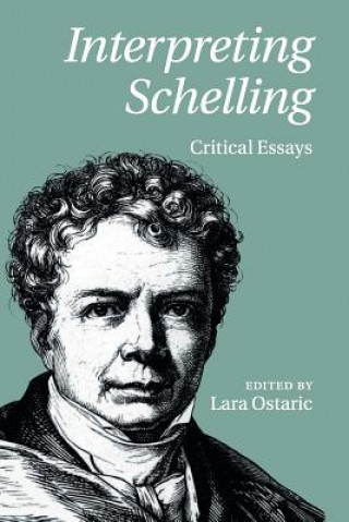 Interpreting Schelling