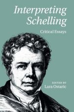 Interpreting Schelling