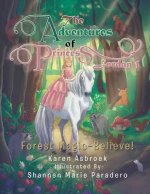 Adventures of Princess Jordan 1