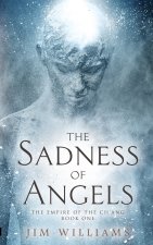 Sadness of Angels