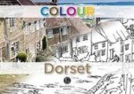 Colour Dorset