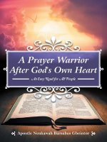 Prayer Warrior After God's Own Heart