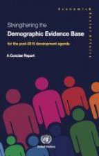 Strengthening the demographic evidence base for the post-2015 development agenda