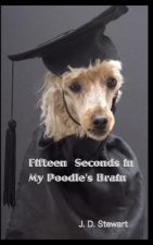 Fifteen seconds in My Poodle's Brain