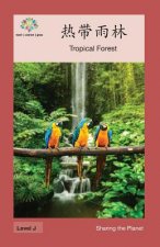 热带雨林: Tropical Forest