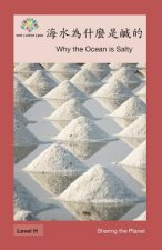 海水為什麼是鹹的: Why the Ocean is Salty