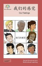 我们的感觉: Our Feelings