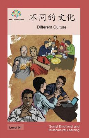 不同的文化: Different Culture