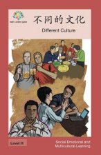 不同的文化: Different Culture