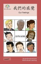 我們的感覺: Our Feelings