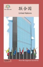 联合国: United Nation