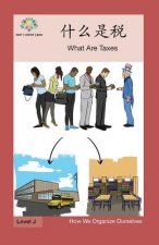 什么是税: What Are Taxes