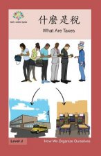 什麼是稅: What Are Taxes