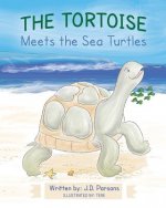 The Tortoise Meets the Sea Turtles