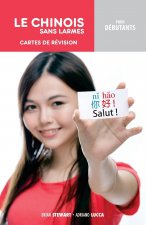 Le Chinois Sans Larmes Pour Debutants: Cahier D'Exercices