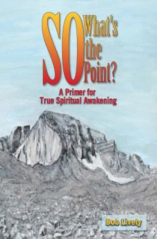 So What's The Point?: A Primer for True Spiritual Awakening
