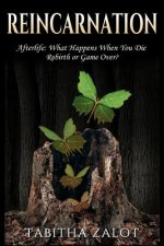 Reincarnation: Afterlife: Life After Death - What Happens When You Die? Rebirth or Game Over?