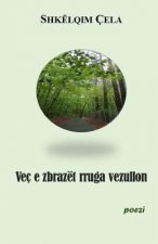 Vec E Zbrazet Rruga Vezullon: Permbledhje Me Poezi
