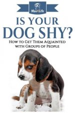 Is Your Dog Shy?: How to Get Them Acquainted with Groups of People
